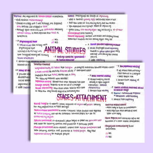 A Level Psychology Attachment Notes