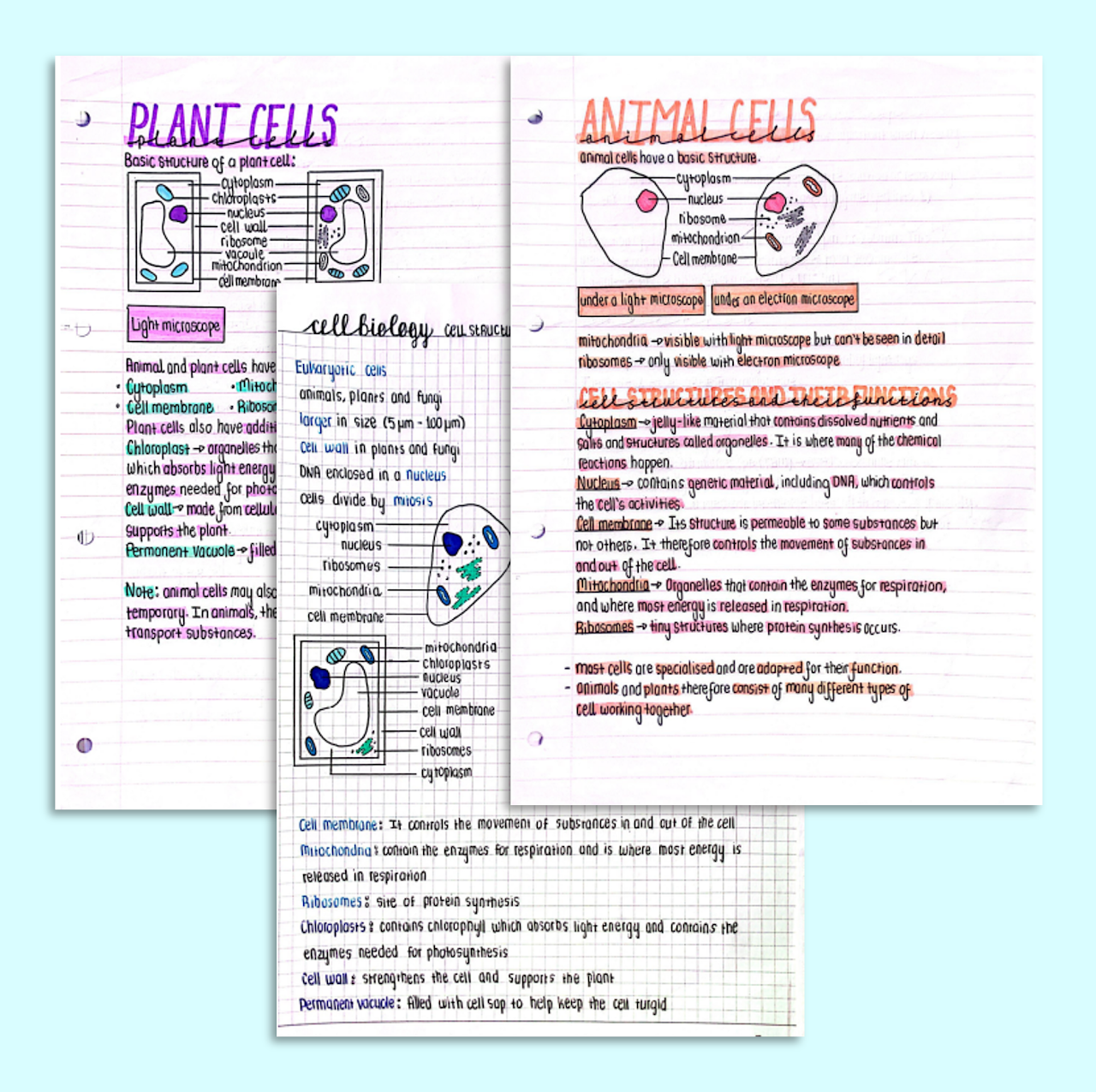 GCSE Cell Biology Notes