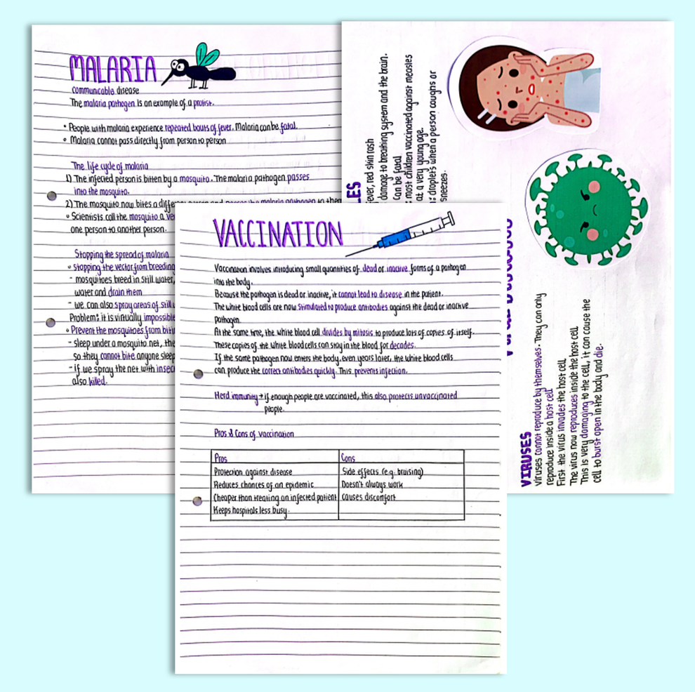 GCSE Biology Infection and Response Notes – gcseobjectives