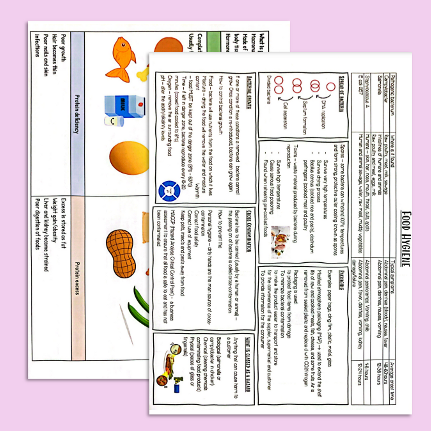 GCSE Food Tech Knowledge Organisers