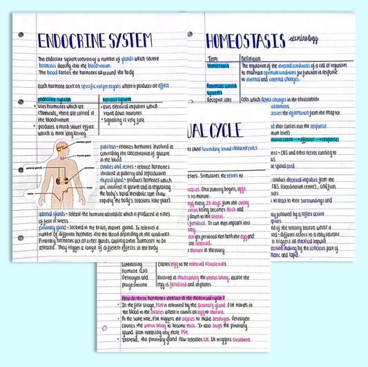 GCSE Biology Homeostasis and Response Notes