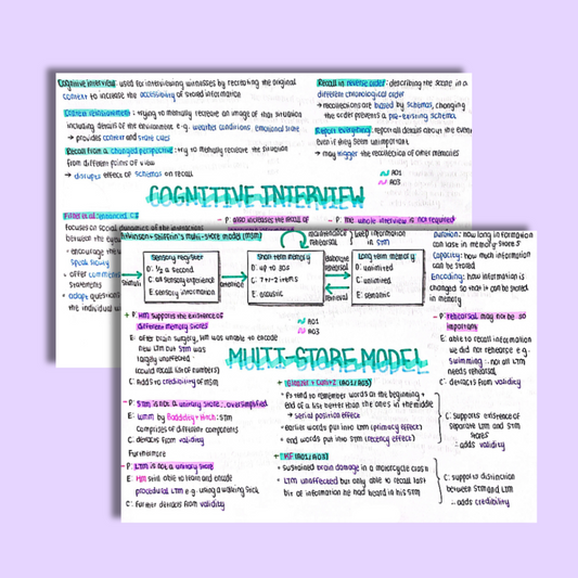 A Level Psychology Memory Notes